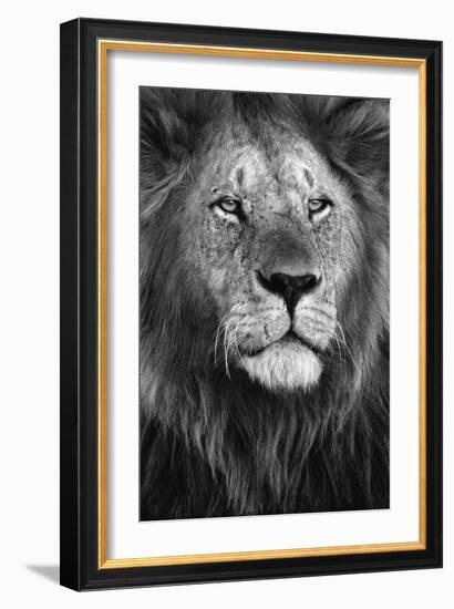 Pride-Xavier Ortega-Framed Art Print