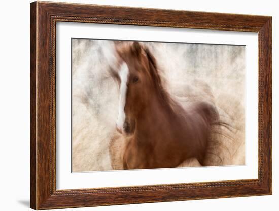 Pride-Martine Benezech-Framed Giclee Print