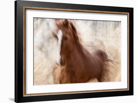 Pride-Martine Benezech-Framed Giclee Print