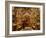 Priest at Tomb of Jesus Christ, Church of Holy Sepulchre, Old Walled City, Jerusalem, Israel-Christian Kober-Framed Photographic Print