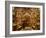 Priest at Tomb of Jesus Christ, Church of Holy Sepulchre, Old Walled City, Jerusalem, Israel-Christian Kober-Framed Photographic Print