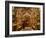 Priest at Tomb of Jesus Christ, Church of Holy Sepulchre, Old Walled City, Jerusalem, Israel-Christian Kober-Framed Photographic Print