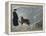 Priest from the Hospice on the St. Bernard Pass with One of the Famous Rescue Dogs-null-Framed Premier Image Canvas