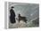 Priest from the Hospice on the St. Bernard Pass with One of the Famous Rescue Dogs-null-Framed Premier Image Canvas