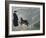 Priest from the Hospice on the St. Bernard Pass with One of the Famous Rescue Dogs-null-Framed Photographic Print