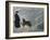 Priest from the Hospice on the St. Bernard Pass with One of the Famous Rescue Dogs-null-Framed Photographic Print