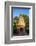 Priest in a temple at Goverdan ecovillage, Maharashtra, India, Asia-Godong-Framed Photographic Print