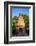 Priest in a temple at Goverdan ecovillage, Maharashtra, India, Asia-Godong-Framed Photographic Print