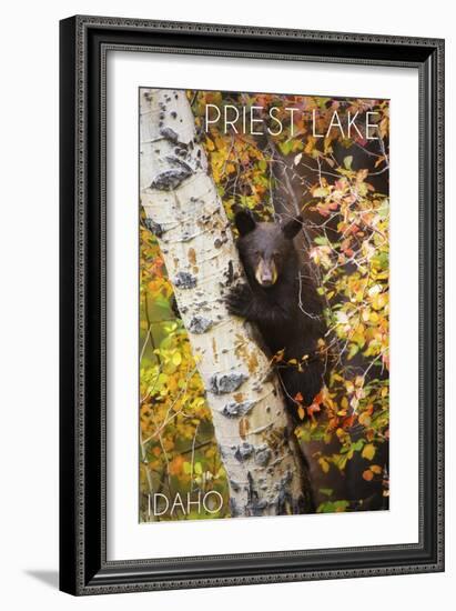 Priest Lake, Idaho - Bear Cub in Tree-Lantern Press-Framed Art Print