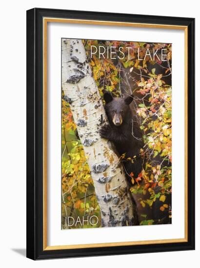 Priest Lake, Idaho - Bear Cub in Tree-Lantern Press-Framed Art Print