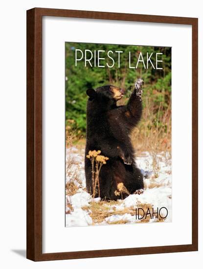 Priest Lake, Idaho - Bear Playing-Lantern Press-Framed Art Print