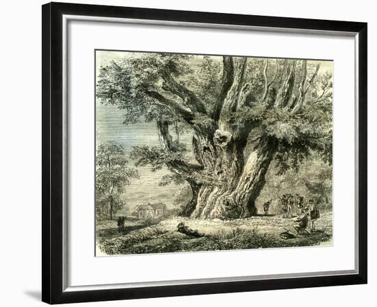 Prilly Lac De Geneve Switzerland 19th Century-null-Framed Giclee Print