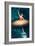 Prima Ballerina Assoluta-Paula Belle Flores-Framed Art Print