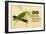 Prima-Nora Cigar Label, Parrot-null-Framed Premium Giclee Print