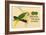 Prima-Nora Cigar Label, Parrot-null-Framed Art Print