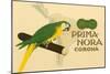 Prima-Nora Cigar Label, Parrot-null-Mounted Art Print