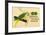 Prima-Nora Cigar Label, Parrot-null-Framed Art Print