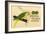 Prima-Nora Cigar Label, Parrot-null-Framed Art Print