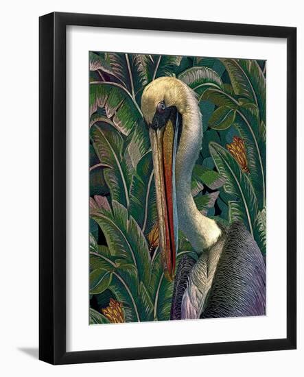 Primal Pelicana-Steve Hunziker-Framed Art Print