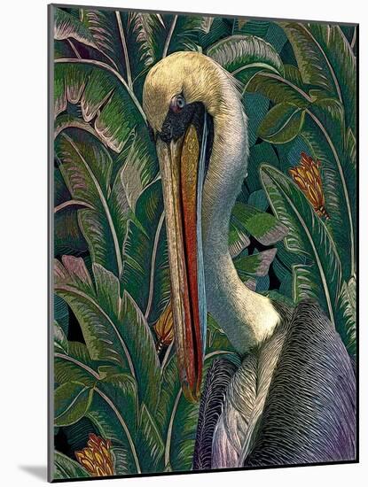 Primal Pelicana-Steve Hunziker-Mounted Art Print