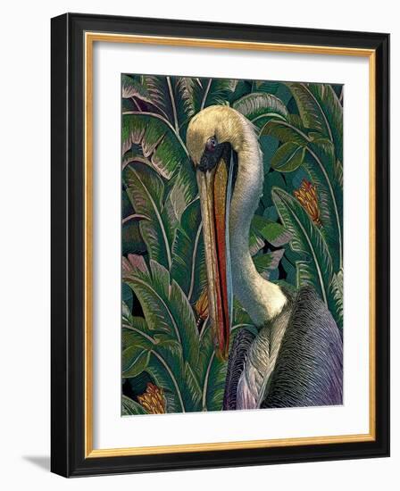 Primal Pelicana-Steve Hunziker-Framed Art Print