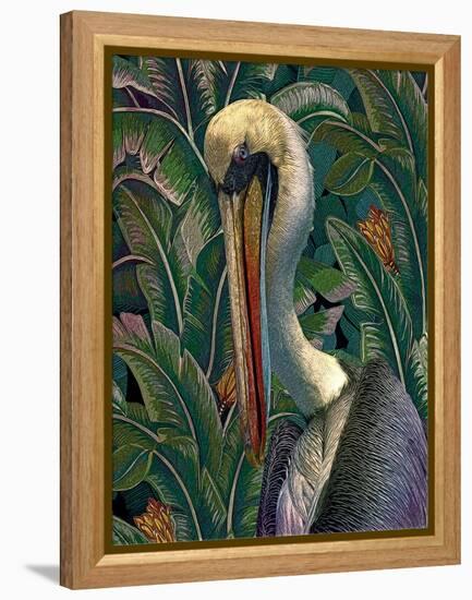 Primal Pelicana-Steve Hunziker-Framed Stretched Canvas