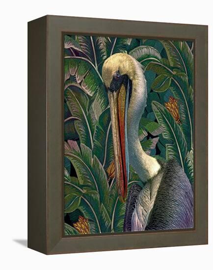 Primal Pelicana-Steve Hunziker-Framed Stretched Canvas