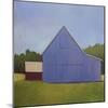 Primary Barns I-Carol Young-Mounted Art Print