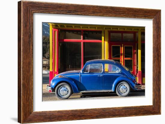 Primary Colors-Brenda Petrella Photography LLC-Framed Giclee Print