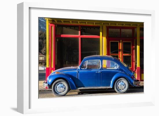 Primary Colors-Brenda Petrella Photography LLC-Framed Giclee Print