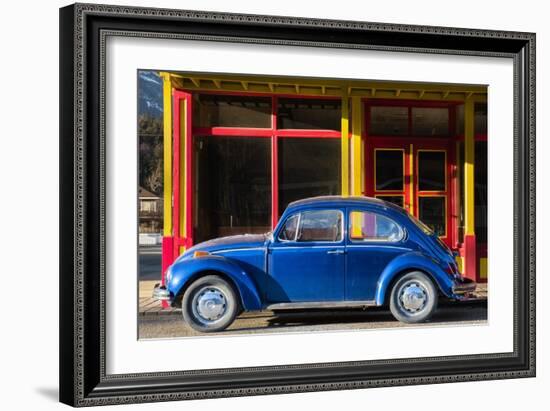 Primary Colors-Brenda Petrella Photography LLC-Framed Giclee Print