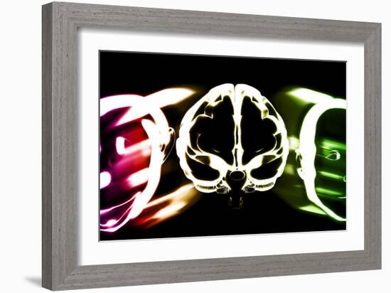 Primate Brain Evolution-Christian Darkin-Framed Photographic Print