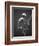 Primate Skeleton on Display-Henry Horenstein-Framed Photographic Print