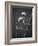 Primate Skeleton on Display-Henry Horenstein-Framed Photographic Print