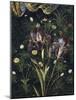 Primavera, c.1478-Sandro Botticelli-Mounted Giclee Print