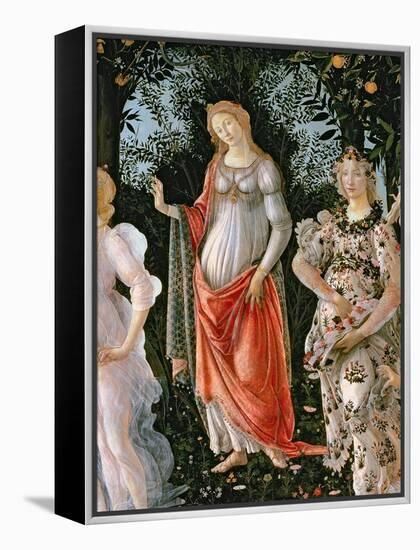 Primavera, c.1478-Sandro Botticelli-Framed Premier Image Canvas