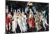 Primavera, C1478-Sandro Botticelli-Mounted Giclee Print