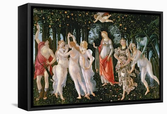 Primavera, circa 1478-Sandro Botticelli-Framed Premier Image Canvas