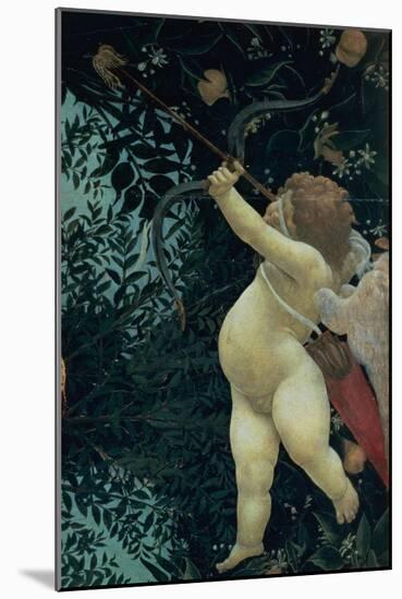 Primavera: Detail of Cupid-Sandro Botticelli-Mounted Giclee Print