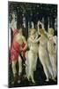 Primavera: Detail of the Three Graces and Mercury-Sandro Botticelli-Mounted Giclee Print