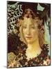 Primavera, Face of Flora-Sandro Botticelli-Mounted Art Print