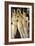 Primavera, Three Graces-Sandro Botticelli-Framed Art Print