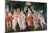 Primavera-Sandro Botticelli-Mounted Art Print