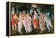 Primavera-Sandro Botticelli-Framed Stretched Canvas