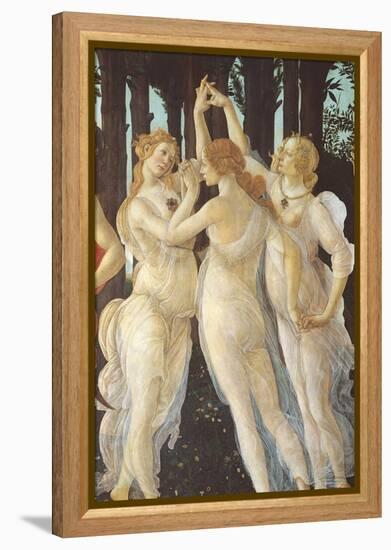 Primavera-Sandro Botticelli-Framed Premier Image Canvas