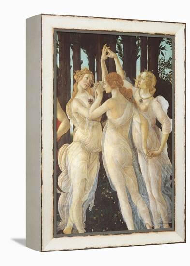 Primavera-Sandro Botticelli-Framed Premier Image Canvas