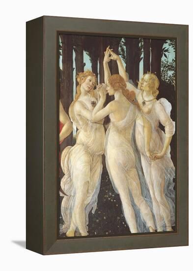 Primavera-Sandro Botticelli-Framed Premier Image Canvas