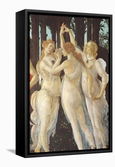 Primavera-Sandro Botticelli-Framed Premier Image Canvas