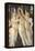 Primavera-Sandro Botticelli-Framed Premier Image Canvas