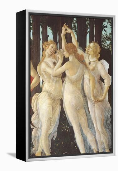 Primavera-Sandro Botticelli-Framed Premier Image Canvas